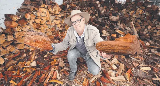  ??  ?? Dave Orr, owner of Surrey Hills Firewood Supplies, with his dwindling supply, as panic buying leads to a firewood shortage. Picture: Alex Coppel