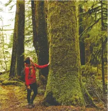  ?? JEREMY KORESKI ?? Forest bathing at the Great Bear Rainforest is an integral part of the resort's wellness experience at Nimmo Bay.