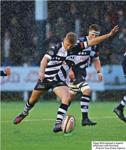  ?? ?? PONTYPRIDD  Tries: D Stuckey. Con: D Bird. Pens: D Bird (7), Stuckey.
CARMARTHEN QUINS  Tries: R Davies, S Thomas, T Murvai. Cons: J Wilson (3). Pen: Wilson.
Diggy Bird enjoyed a superb afternoon with the boot
Picture: Huw Evans Agency