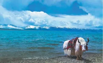  ?? SHEN JIE / FOR CHINA DAILY ?? Namtso Lake attracts visitors, who come to enjoy its picturesqu­e views.