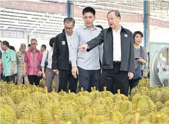  ??  ?? Mr Sontirat tours a durian export firm in Chanthabur­i province.