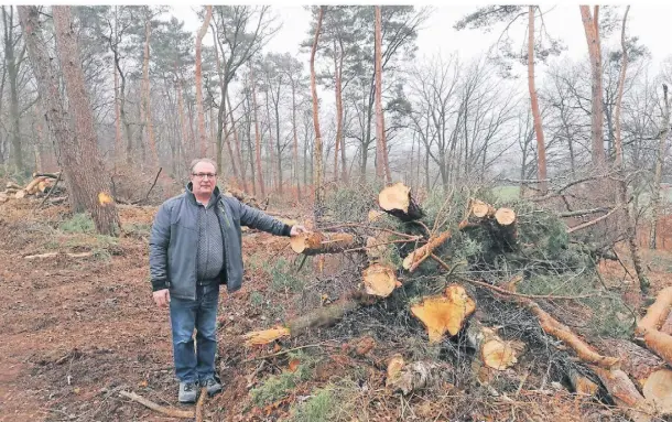  ?? FOTO: MARVIN WIBBEKE ?? Matthias Mainz in dem kleinen Waldstück. Dort sei eine Schneise der Verwüstung hinterlass­en worden, sagt er.