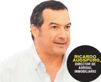  ??  ?? RICARDO AUGSPURG,
DIRECTOR DE AGRISAL INMOBILIAR­IO