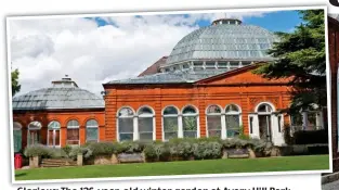  ??  ?? Glorious: The 126-year-old winter garden at Avery Hill Park