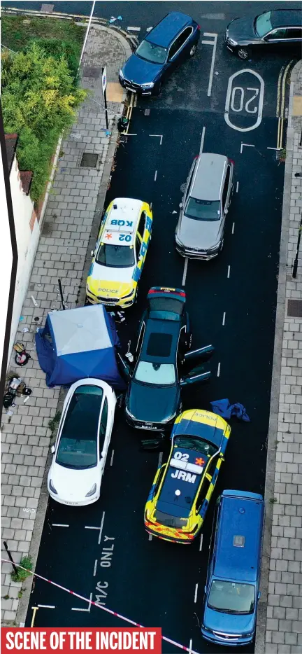  ?? ?? SCENE OF THE INCIDENT
Aftermath: The Audi A8 driven by Chris Kaba is boxed in by police cars in the South London street