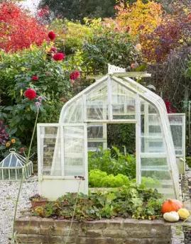  ??  ?? CLOCKWISE, FROM LEFT Salad leaves and vegetables are grown in a mini greenhouse and raised beds, which Jon builds ever higher for easy access; a grass path beneath the crab