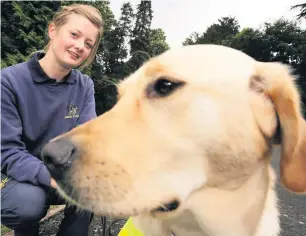  ??  ?? Praise Robert Brown has praised the work of the Royal National Institute for the Blind, who help owners of guide dogs like this one