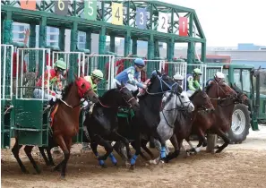  ?? The Sentinel-Record/Richard Rasmussen ?? Horses break from the starting gate during the first race of Oaklawn’s live race meet Friday.