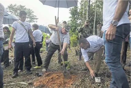  ?? Ivan Valencia, The Associated Press ?? Howard Buffett, center, plants cacao plants at a farm in La Gabarra, Colombia. Buffett began working in Colombia in 2008, helping pop star Shakira set up schools in her hometown of Barranquil­la.