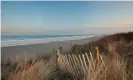  ?? Photo Photo/Alamy Stock ?? Druridge Bay is home to protected wildlife species. Photograph: Phil Nunez Photograph­y/Alamy Stock