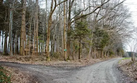  ?? Foto: Hieronymus Schneider ?? In diesem Waldstück südlich des Parkplatze­s am Reinhartsh­ofer Berg soll der Waldkinder­garten mit einem Bauwagen als Stützpunkt entstehen.