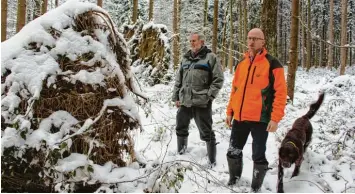  ?? Foto: Johann Stoll ?? Forstamtsl­eiter Rainer Nützel und Forstbetri­ebsleiter Hermann S. Walter (mit Hund „Keks“) warnen vor Borkenkäfe­rbefall in den Wäldern.