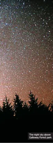  ?? ?? The night sky above Galloway Forest park