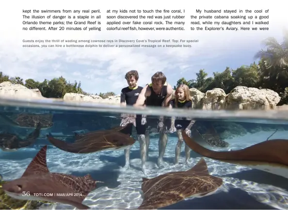  ??  ?? Guests enjoy the thrill of wading among cownose rays in Discovery Cove’s Tropical Reef. Top: For special occasions, you can hire a bottlenose dolphin to deliver a personaliz­ed message on a keepsake buoy.