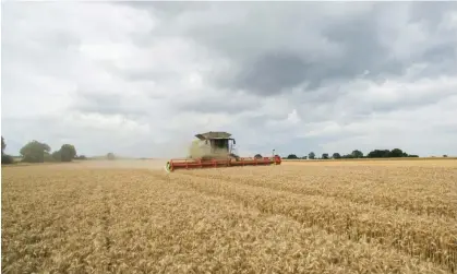  ?? Photograph: Graeme Robertson/The Guardian ?? Record rainfall has meant farmers in many parts of the UK have been unable to plant crops such as potatoes, wheat and vegetables.