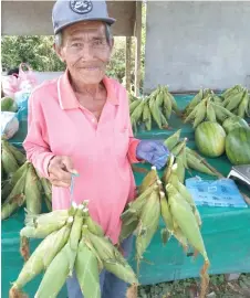  ??  ?? Mohd Zaini’s stall assistant, Pak Tam, showing the maize which are sold at RM10 for seven pieces.