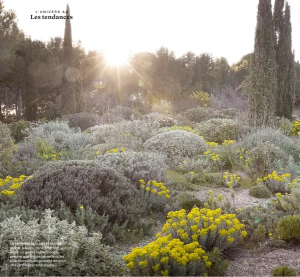  ??  ?? LA PÉPINIÈRE DE CLARA ET OLIVIER
FILIPPI, à Mèze, dans l’Hérault, est aussi un jardin «sec» modèle, preuve que même les milieux les plus compliqués peuvent devenir des jardins paradisiaq­ues.