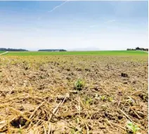  ??  ?? Der Ertrag der Heuernte fällt im bisher trockenen Sommer um bis zu 60 Prozent geringer aus.