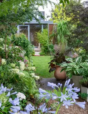  ??  ?? GLORIOUS MIX
Top right At the back of a border, Cercis canadensis ‘Forest Pansy’ stands above zinnias, coneflower­s, verbena, agapanthus and mimulus