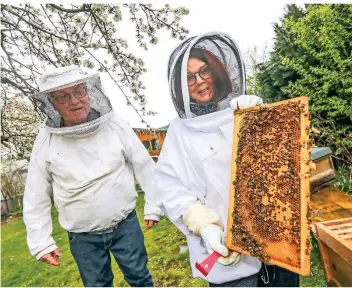  ?? RP-FOTO: HANS-JÜRGEN BAUER ?? Dieter und Marina Ziemann versorgen die Bienenstöc­ke im Garten hinter ihrem Haus. Zurzeit fliegen die Insekten vor allem die Kirschblüt­en an. Der Honig wird entspreche­nd fruchtig schmecken.