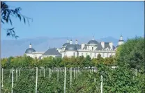  ?? PHOTOS PROVIDED TO CHINA DAILY ?? From left:The vineyard of Chateau Changyu Moser XV in Yinchuan, in the Ningxia Hui autonomous region; viticultur­ists harvest grapes on a slope of Helan Mountain in Ningxia; visitors looking through items on display at the museum of a winery in Yinchuan.