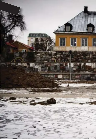  ??  ?? DIREKTÖREN FÖR DET HELE. Åsa Hallgren, vd för Stiftelsen Stora Sköndal, framför en