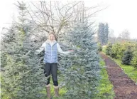  ?? FOTOS: ROSA LANER ?? Angelika Martin präsentier­t Weihnachts­bäume - die Wege sind toll angelegt und erleichter­n die Suche.