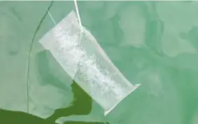  ?? MARÍA ARIAS ?? En la imagen de la izquierda se observa el crecimient­o de bacterias en las zonas rugosas de un microplást­ico. En esta foto, una caja de acero utilizada para sumergir el material en un lago de Alemania.