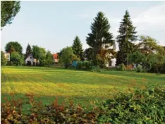  ?? Foto: I. Lorenz ?? Noch ist es eine Wiese mitten in Ichenhause­n. Jetzt gehört die knapp 0,6 Hektar große Fläche aber der Stadt, die daraus ein Wohngebiet machen will.
