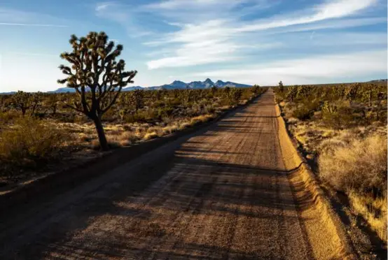  ?? JOHN BURCHAM/NEW YORK TIMES/FILE ?? A backcountr­y road off the Joshua Tree Highway in Avi Kwa Ame National Monument, Nevada.