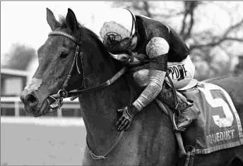  ?? CHELSEA DURAND/NYRA ?? Funny How has won her last five starts, including the Broadway Stakes over New York-breds. She will try open-company stakes rivals in the April 7 Distaff Handicap.