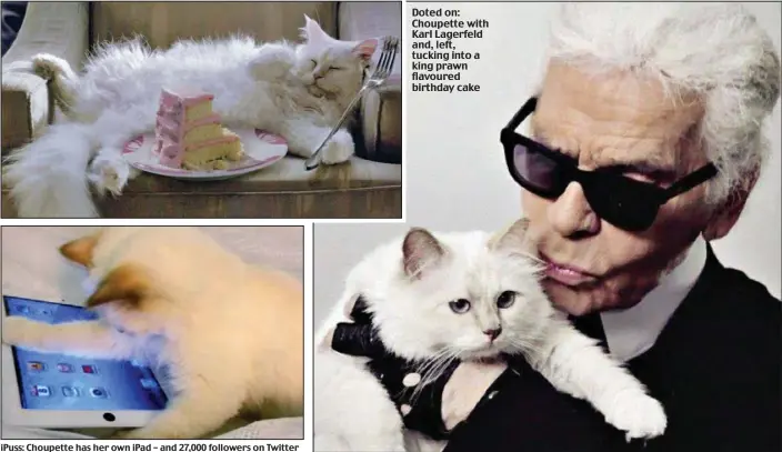 Karl Lagerfeld's cat designs her own bed (in a way)