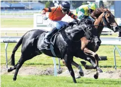  ?? PHOTO: RACE IMAGES PALMERSTON NORTH ?? Rock On Wood (outer) will carry the hopes of the Elliot family in the feature Anzac Mile at Awapuni today.