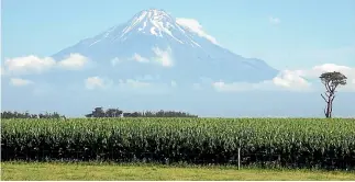  ??  ?? Pioneer Taranaki area manager Kim Sharpe recommends farmers consider putting maize into damaged paddocks.