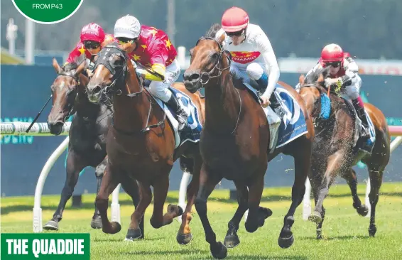  ?? ?? African Daisy will look to impress in race five at Eagle Farm. Picture: Jeremy Ng/getty Images