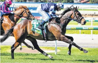  ?? PHOTO: REG RYAN (RACING PHOTOS) ?? Big day . . . New Zealandbre­d gelding Young Werther’s team are looking for him to to step up in today’s Caulfield Cup in Melbourne.
