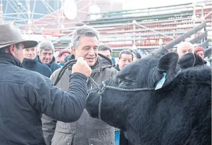  ?? Télam ?? Etcheveher­e recibió ayer a “Don Pablo”, el primer toro que entró en la Rural