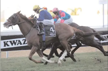  ?? Picture: Nkosi Hlophe ?? BEZANOVA, with Anton Marcus in the saddle, won the KZN Breeders Million Mile at Greyville yesterday. The minor placings went to Wild One, Front Rank and No Worries.