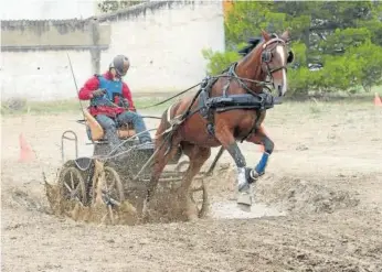  ??  ?? Concurso de enganche celebrado en la feria caballar de Marcilla.