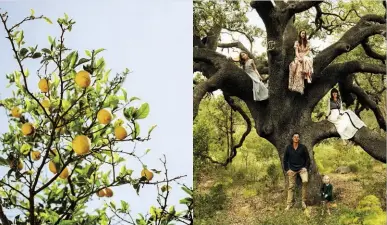  ??  ?? Le foto in queste pagine sono tratte dal volume “Ibiza Bohemia”, edito da Assouline, raccolta di storie, luoghi, personaggi che raccontano l’isola più nascosta. Limoni nel nord dell’isola. Famiglia di hippies olandesi. Pagina accanto. Marlo Caspers e...