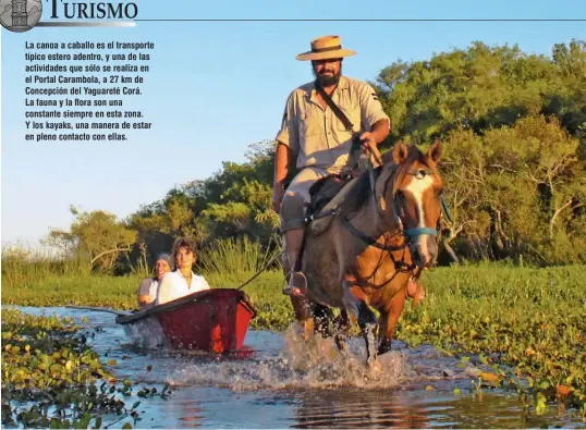  ??  ?? La canoa a caballo es el transporte típico estero adentro, y una de las actividade­s que sólo se realiza en el Portal Carambola, a 27 km de Concepción del Yaguareté Corá. La fauna y la flora son una constante siempre en esta zona. Y los kayaks, una manera de estar en pleno contacto con ellas.