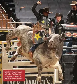  ??  ?? Brazilian profession­al bull rider Guilherme “Hollywood” Marchi prepares to dismount.JR wears COLT Collection jock strap.