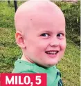  ??  ?? MILO, 5