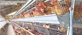  ?? ?? Battery cage system for layer production