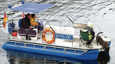  ??  ?? Vier Leichenspü­rhunde wechselten sich auf dem Boot ab, das vor der Staumauer und angrenzend­en Buchten Schleifen zog. Fotos (): Jens Voigt