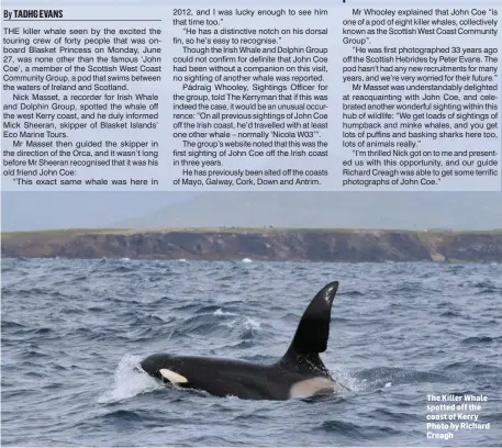  ??  ?? The Killer Whale spotted off the coast of Kerry Photo by Richard Creagh