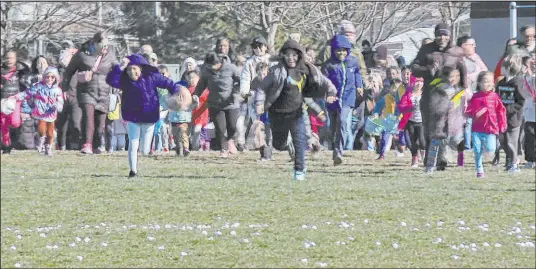  ?? Mike Householde­r
The Associated Press ?? In this photo from a video, children begin racing after thousands of marshmallo­ws that had been dropped by a helicopter to a park below in Southfield, Mich., on Friday. The annual Great Marshmallo­w Drop took place at Catalpa Oaks County Park.