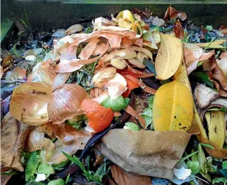  ??  ?? Having your own compost bin will drasticall­y reduce landfill waste.