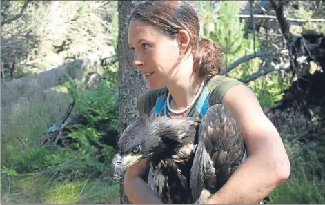  ?? Picture: RSPB Scotland/PA ?? RSPB officer Rhian Evans holding the sea eagle chick in woodland in Fife.