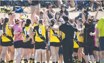  ?? Picture: Nev Madsen ?? Toowoomba Tigers celebrate their 2019 AFLDD women’s grand final win.